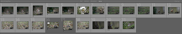 Lightroom